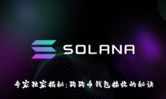 专家独家揭秘：狗狗币钱